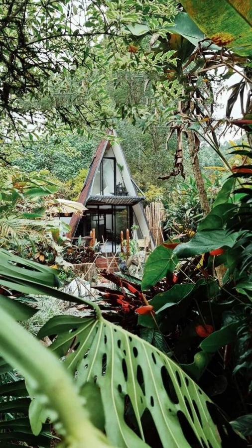 Glamping Salento Con Jacuzzi Climatizado Hotel Екстериор снимка